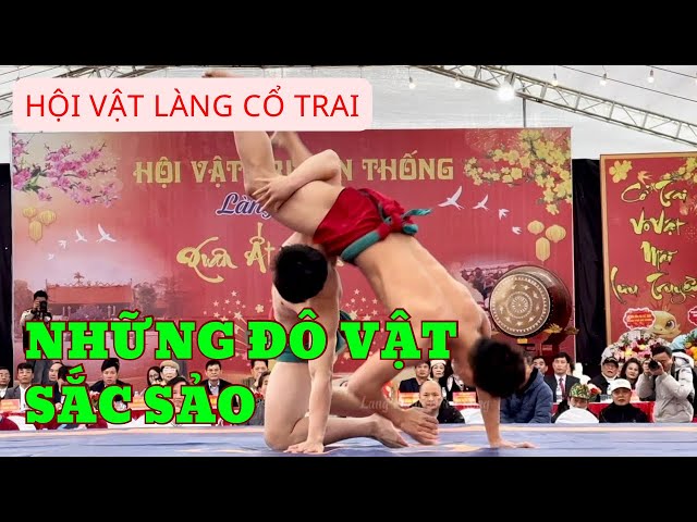 Những đô vật sắc sảo tung chiêu điệu nghệ tại Hội vật làng Cổ Trai, Kiến Thuỵ, Hải Phòng