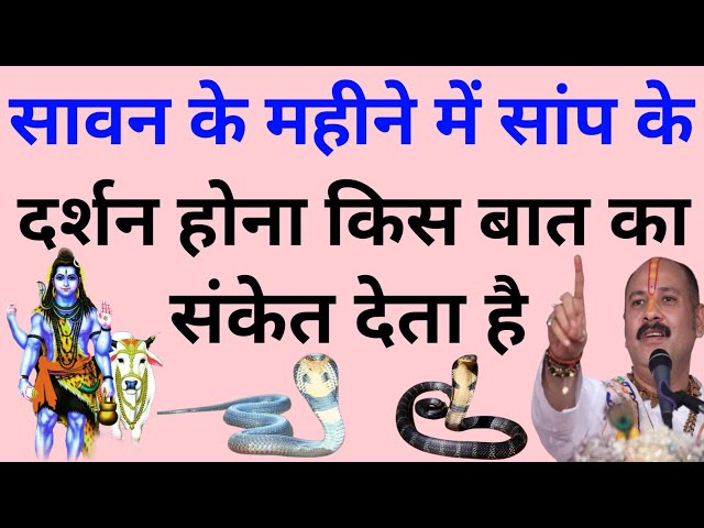 सावन के महीने में सांप के दर्शन होना किस बात का संकेत देता है । Pradeep mishra ji । Mahadev Tv ।