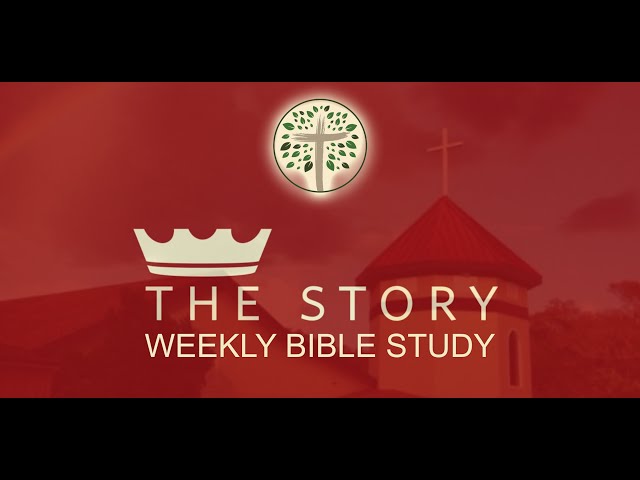 Bible Study: The Story - Chapter 4