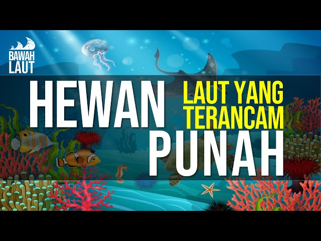 16 JENIS HEWAN LAUT YANG TERANCAM PUNAH