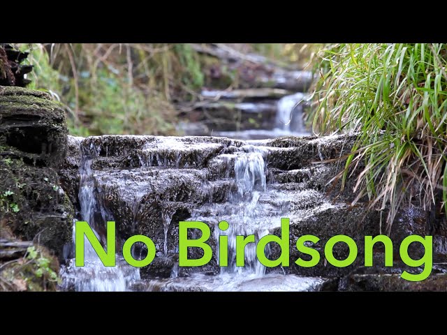 8 Hours Nature Sounds-Waterfall-Relaxing Meditation W/O Birdsong-Calming-Water Falling Sound Effect