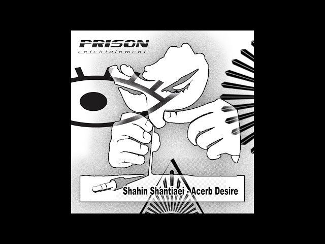 Shahin Shantiaei - Hair Raiser