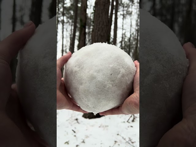 Rust snowball IRL #rust #rustshorts #rustcontent #rustvideos #rustsolo