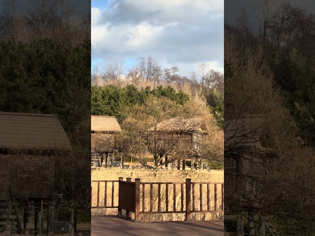 Restoration remains of ancient Gaya houses