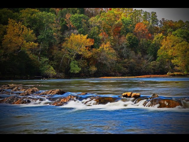 Kayaking the Ouachita River 2020