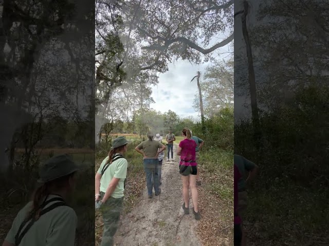 Prairie Creek Conservation Cemetery TOUR in 4K | Gainesville, Florida