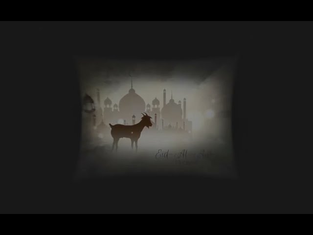 Eid-ul-Adha 2024 WhatsApp status |Trending |New Eid Mubarak Wishes | Bakra Eid   | Magnetic Minds360