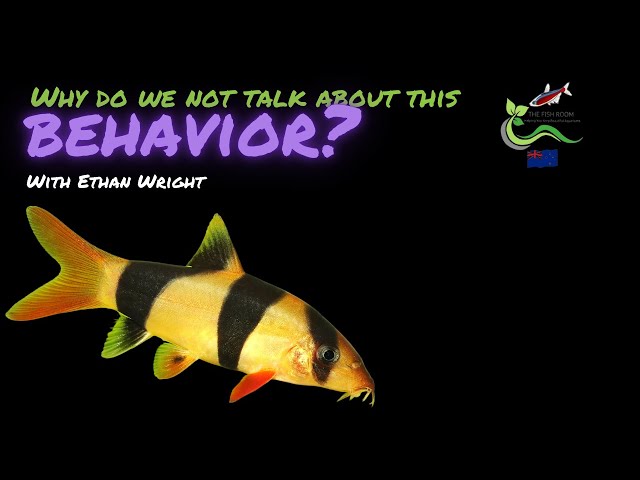 Is Your Fish Stressed? Identifying Stereotyping Behavior in Aquatic Animals with Ethan Wright