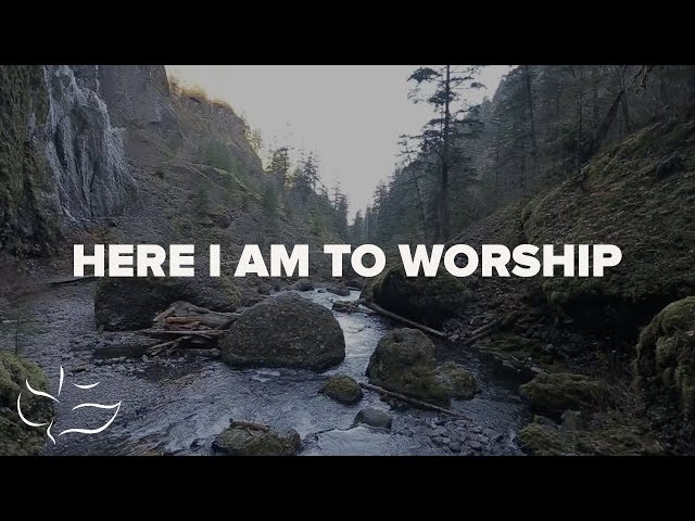 Here I Am To Worship | Maranatha! Music (Lyric Video)