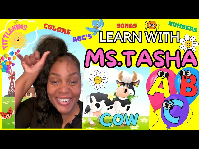 Toddler & Baby learning! ABC's, First Words, Sign, Numbers, Shapes & More #tittlekins #baby #MsTasha