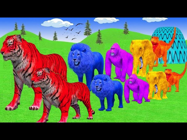 Long Slide Game With Elephant Gorilla Buffalo Hippopotamus Tiger - 3d Animal Game - Funny Animals