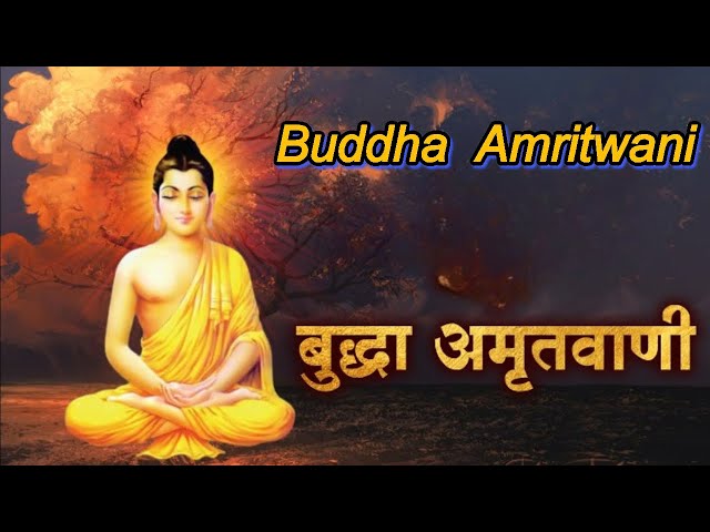 Buddha Teachings | बुद्ध वाणी | महात्मा बुद्ध के अनमोल विचार |Part 62 |