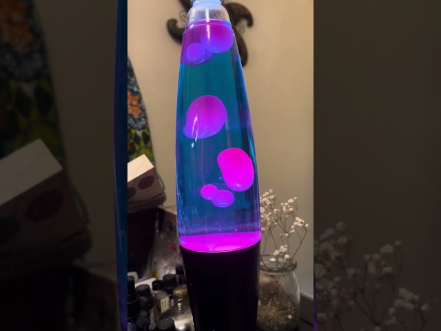 Lava Lamp Meditation 🧘🏼‍♀️ #meditation #meditate #quiet #meditationmoments