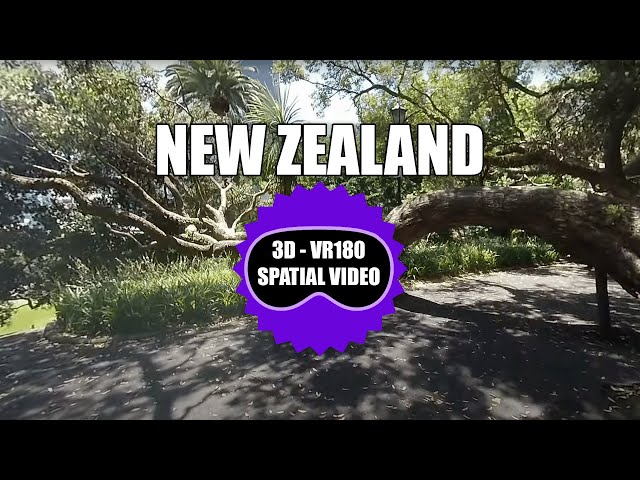 New Zealand Auckland Walk - Part 1 - VR180 - Spatial Video