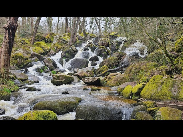 Exploring Becky Falls: Legends, Nature & Hidden Magic | A Journey Through Ancient Woodlands