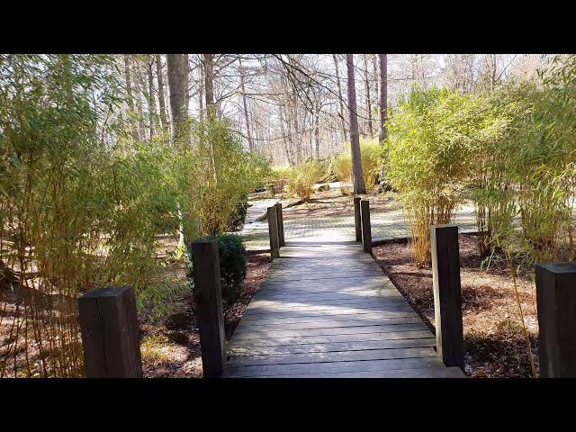 A walk in the park, literally. Walking in nature, no talking, just nature sounds