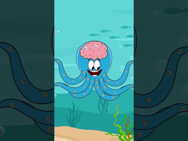 Does an Octopus have Nine Brains? | #aumsum #kids #shorts #science