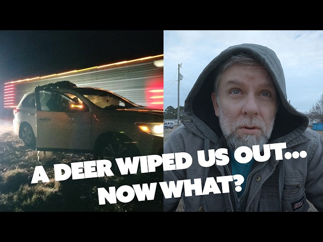 What happens after a deer takes you out at 4am in Georgia?