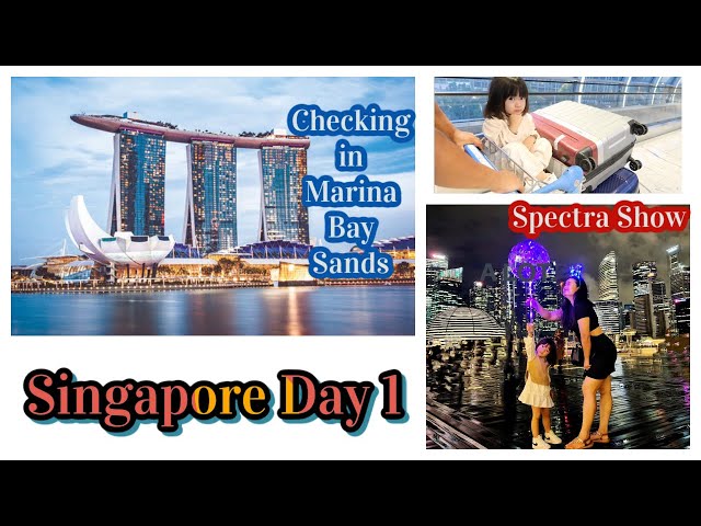 SINGAPORE DAY 1 (CHECKING IN MARINA BAY SANDS)