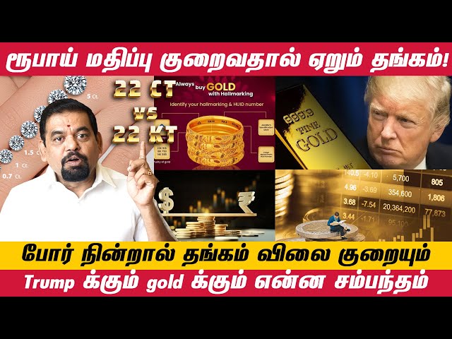 Ct / Kt என்ன வித்தியாசம்? | ரூபாய் மதிப்பு குறைவதால் ஏறும் தங்கம்!  @goldguru24