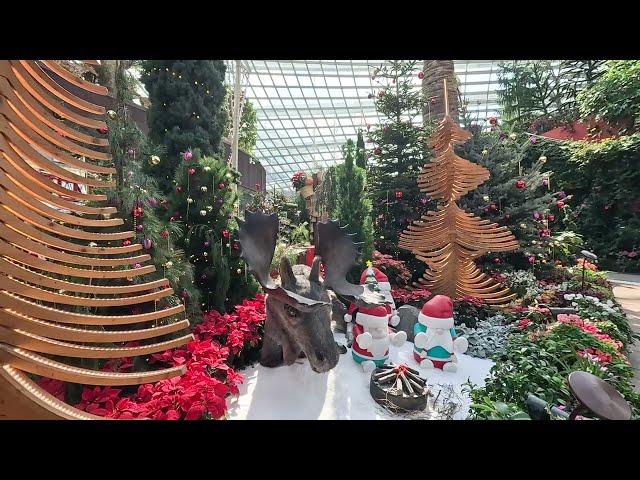 [VR180] Gardens by the Bay Christmas Train Show 2024