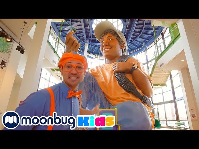 Blippi Visits A Children's Museum | @Blippi | Moonbug Literacy