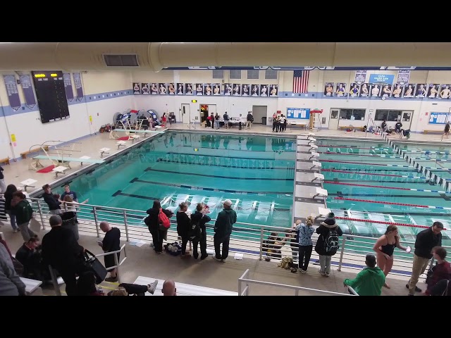 District one Girls Diving Championship 2-14-15