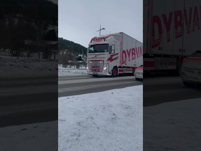 Dybvad transport