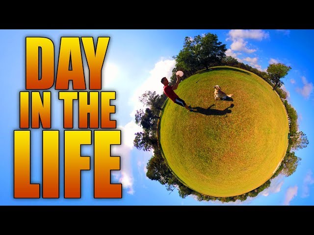 DAY IN THE LIFE OF A DOG (360° Video)