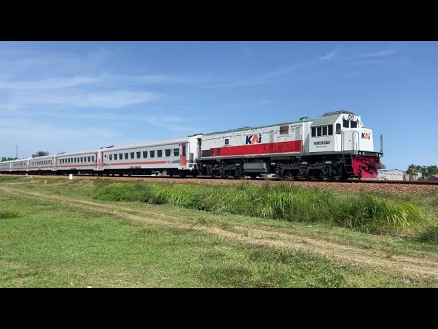 Railroad Crossing | Kereta Api Melintas Kencang