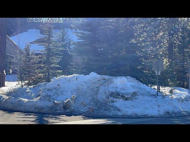 How much SNOW remains in Big Bear, CA and how are the roads?? Easy driving folks. February 4, 2021