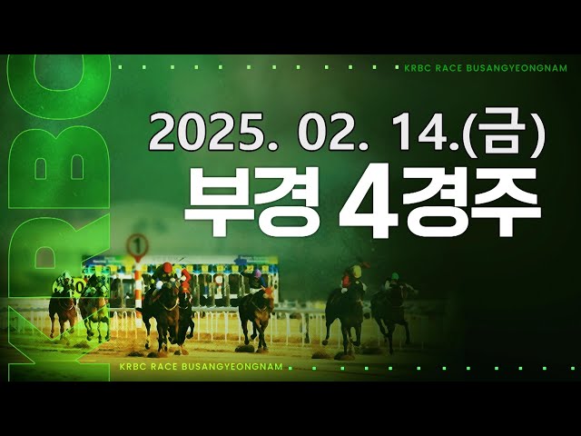 (부산) 2025.02.14 4경주