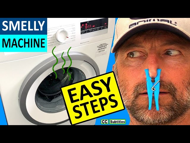 How to Clean a Smelly Washing Machine in 6 Easy Steps