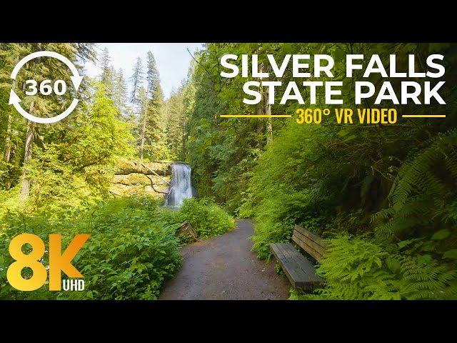 Experience the Beauty of Silver Falls State Park in 8K 360° VR - Virtual Relaxation