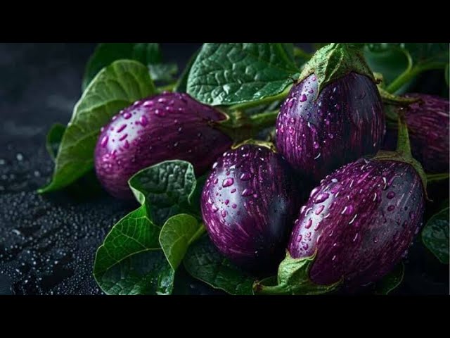 Health Benefits of Brinjal/Eggplan|NK NEWS