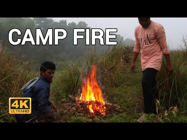 4K HDR 📺 This is a Real Autumn Campfire 🔥 Soothing Sounds of Nature With Birds Song in Forest🌲