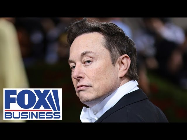 The longer Elon Musk's move to cut USAID takes, the more it hurts America: Expert