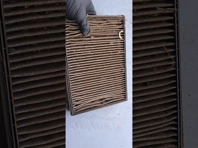 Dirty Pollen Filter (Cabin Filter)