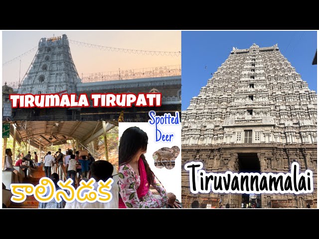 The Final Vlog of South Indian Road Trip #tiruvannamalai #arunachaleswarar #tirupati #srikalahasti