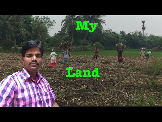 Village Vlog Tamil travel vlog tamil vlog Village vlog விவசாயம்