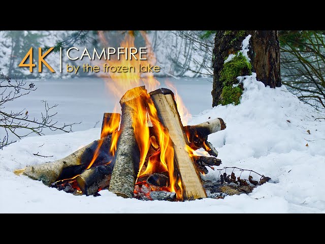 Campfire on Snow❄️White Ambience by the Lake & Authentic Sound