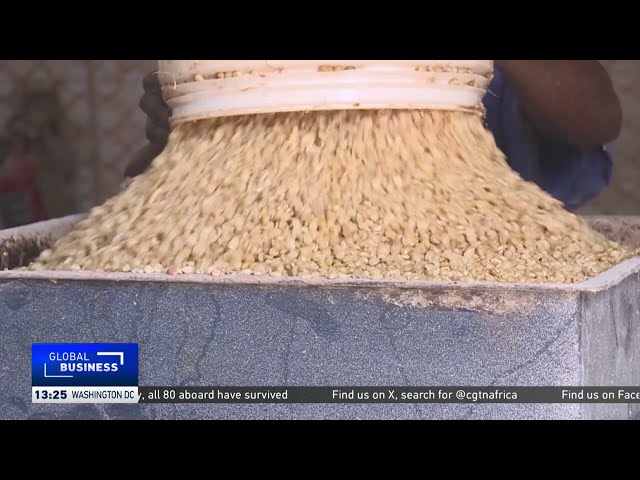 Tanzania becomes Africa's second-largest maize producer