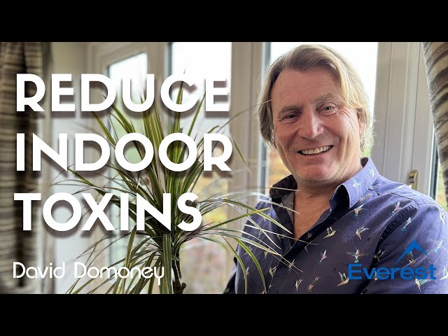 How to reduce toxins in your home