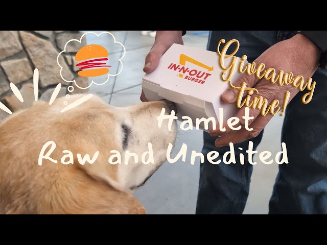 🍔😮WHAT, NO DRIVE-THRU...OH GOSH..⁉️THERE'S A GIVEAWAY TOO⁉️REALLY⁉️ 📹 RAW AND UNEDITED ‼️VIDEO 20