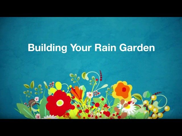 Building a Rain Garden in Alberta - 12 Steps to Success