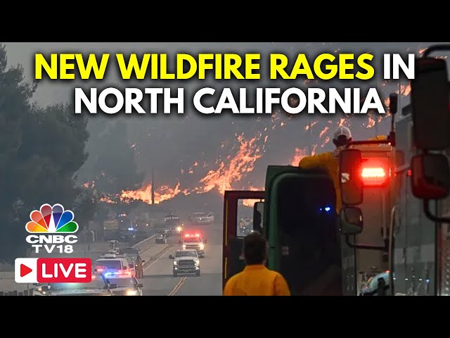 Los Angeles Fire LIVE: Hughes Fire Rages Near LA, 50K Under Evacuation Orders and Warnings | N18G