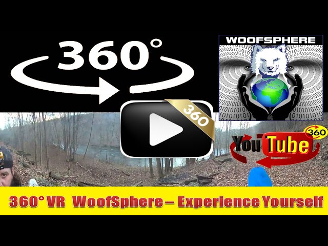 360 Videos | VR | Virtual Reality | WooFSphere | Husky Dog Dealing with Trail Adversities