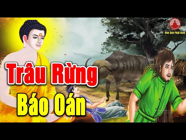 Chuyện Nhân Quả Báo Ứng TRÂU BÁO OÁN Kẻ G.I.Ế.T Hại Mình - Cái Kết Vong Mạng Thê Thảm, Xem Để Tránh