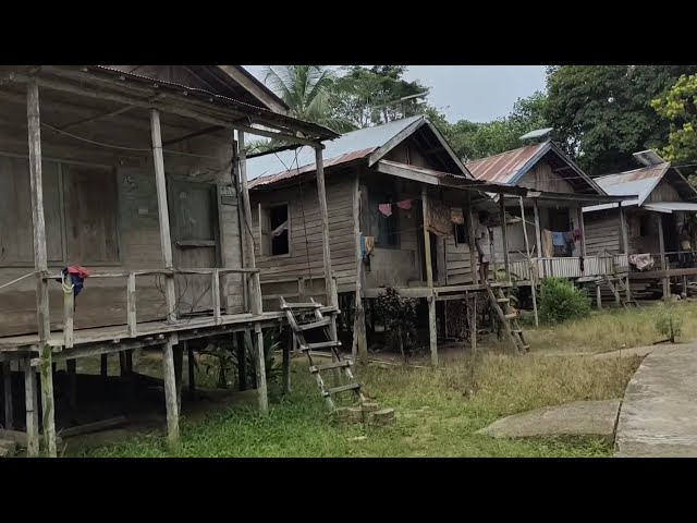 Kampung dayak, di pedalaman kalimantan, gunung purei, desa baok, barito utara, kalteng