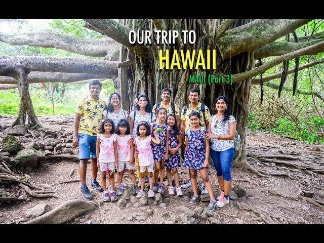 Our Visit to Hawaii - Part 3 (Maui)